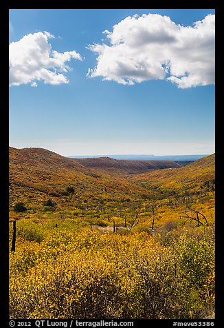 Clouds and landscape with fall colors. Mesa Verde National Park (color)