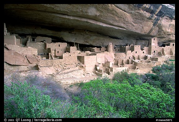 Cliff Palace. Mesa Verde National Park