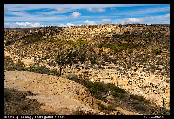 Canyon, Wetherill Mesa. Mesa Verde National Park, Colorado, USA.