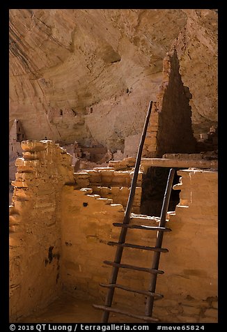 Ladder and ruined walls, Long House. Mesa Verde National Park, Colorado, USA.