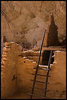 Ladder and ruined walls, Long House. Mesa Verde National Park ( color)
