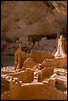 Ruined Ancestral Puebloan walls, Long House. Mesa Verde National Park ( color)