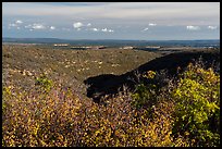 Srubs in autumn and cuesta, Wetherill Mesa. Mesa Verde National Park ( color)