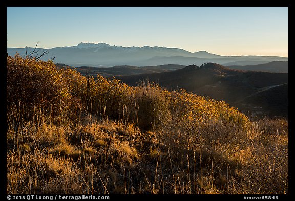 Shrubs and mountains at sunrise from Park Point. Mesa Verde National Park, Colorado, USA.