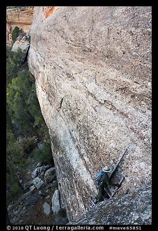 Park ranger on ladder along steep cliff leading to ruin. Mesa Verde National Park (color)