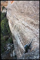 Park ranger on ladder along steep cliff leading to ruin. Mesa Verde National Park ( color)