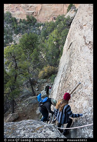 Tour participants negotiate cliff. Mesa Verde National Park, Colorado, USA.