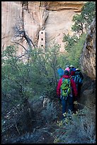 Tour participants hike to Square Tower House. Mesa Verde National Park ( color)