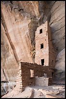 Tower and cliff inside Square Tower House. Mesa Verde National Park ( color)