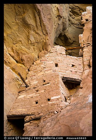 Crows Nest perched high in cliff crevice, Square Tower House. Mesa Verde National Park (color)