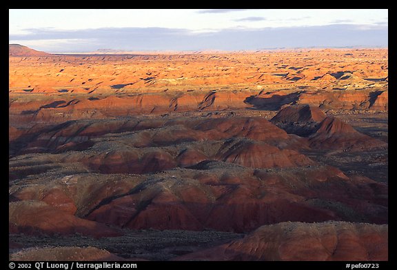 Painted Desert, early morning. Petrified Forest National Park