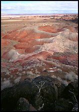 Mud, sandstone and volcanic ash color  painted desert, morning. Petrified Forest National Park, Arizona, USA.