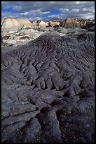 Bentonite and volcanic ash badlands in Blue Mesa, afternoon. Petrified Forest National Park, Arizona, USA. (color)