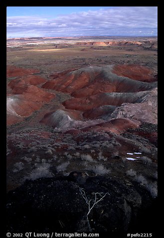 Painted desert, morning. Petrified Forest National Park