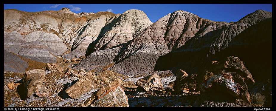 Petrified wood and badlands, Blue Mesa. Petrified Forest National Park (color)