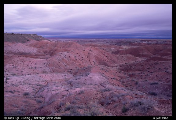 Painted desert seen from Tiponi Point, dawn. Petrified Forest National Park, Arizona, USA.
