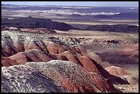 Painted desert seen from Lacey Point, morning. Petrified Forest National Park ( color)