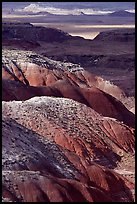 Painted desert seen from Lacey Point, morning. Petrified Forest National Park, Arizona, USA.