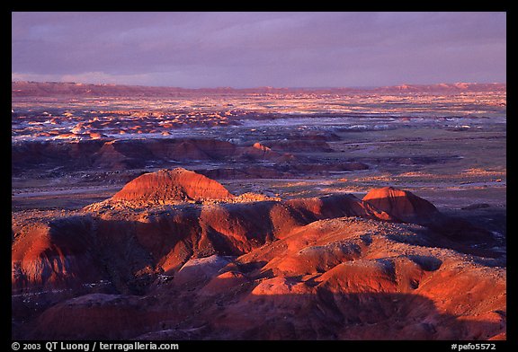 Multi-hued badlands of  Painted desert seen from Chinde Point. Petrified Forest National Park, Arizona, USA.