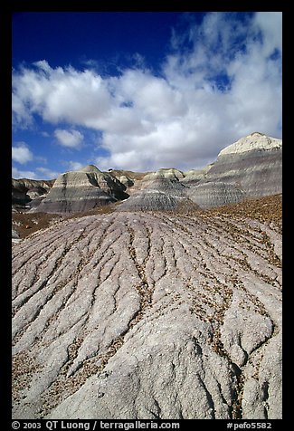 Eroded badlands of  Chinle Formationon, Blue Mesa. Petrified Forest National Park, Arizona, USA.