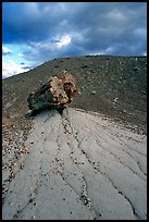 Pedestal petrified log in Blue Mesa, afternoon. Petrified Forest National Park, Arizona, USA. (color)