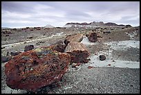 Colorful large fossilized logs and badlands of Chinle Formation, Long Logs area. Petrified Forest National Park, Arizona, USA.