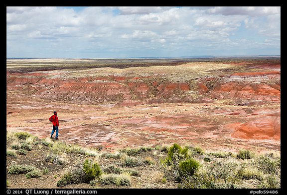 Visitor looking, Painted Desert near Tiponi Point. Petrified Forest National Park (color)