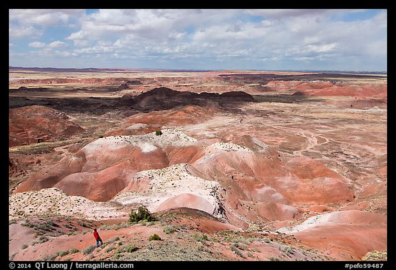 Visitor looking, Painted Desert near Tawa Point. Petrified Forest National Park, Arizona, USA.