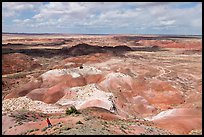 Visitor looking, Painted Desert near Tawa Point. Petrified Forest National Park ( color)