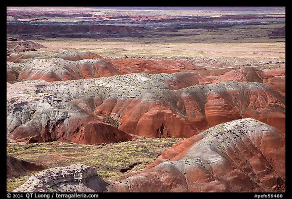 Painted Desert from Tawa Point. Petrified Forest National Park, Arizona, USA.