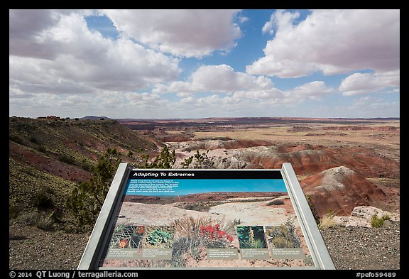 Interpretive sign, Painted Desert near Tawa Point. Petrified Forest National Park (color)