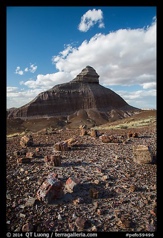 Petrified wood and eroded monolith. Petrified Forest National Park (color)