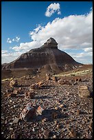 Petrified wood and eroded monolith. Petrified Forest National Park ( color)