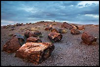 Large petrified wood logs and hill, Crystal Forest. Petrified Forest National Park ( color)