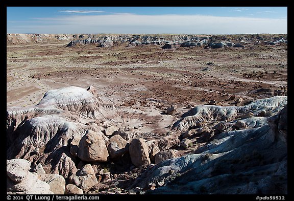 Valley covered with petrified wood, Jasper Forest. Petrified Forest National Park (color)