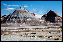 Conical hills carved from blue and red mudstone by erosion. Petrified Forest National Park ( color)