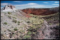 Trail, Painted Desert. Petrified Forest National Park ( color)