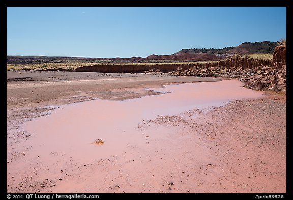 Water in Lithodendron Wash. Petrified Forest National Park, Arizona, USA.