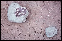 Ground view with concretions and red cracked mud. Petrified Forest National Park, Arizona, USA.