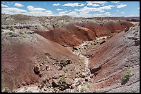 Gully in red badlands filled with petrified wood. Petrified Forest National Park ( color)