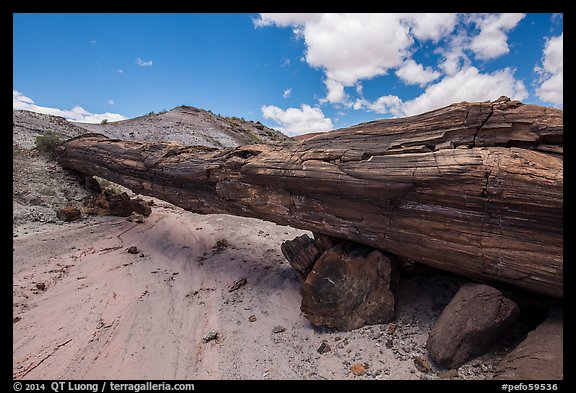 Ancient petrified log laying across arroyo, forming natural bridge called Onyx Bridge. Petrified Forest National Park (color)
