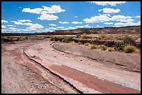 Dry desert wash. Petrified Forest National Park ( color)