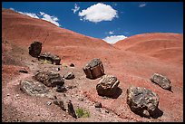 Red Desert badlands hills and black petrified logs. Petrified Forest National Park ( color)