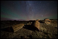 pictures of Petrified Forest National Park Night