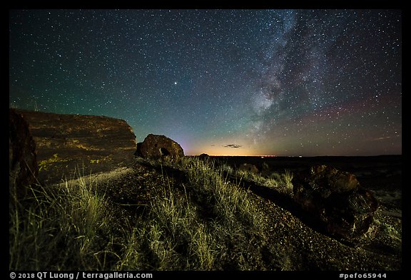 Petrified logs and Milky Way. Petrified Forest National Park (color)