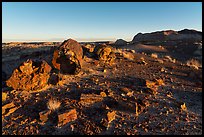 Petrified wood and badlands at sunrise, Longs Logs. Petrified Forest National Park ( color)