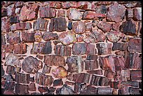 Wall detail, Agate House. Petrified Forest National Park ( color)