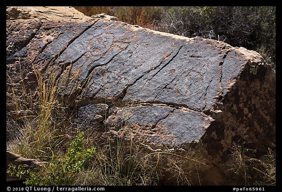 Petroglyphs, Puerco Pueblo. Petrified Forest National Park (color)