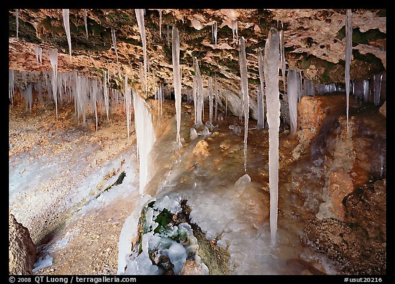 Frozen stalactites in Mossy Cave. Bryce Canyon National Park, Utah, USA.