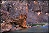 Virgin river at  entrance of the Narrows. Zion National Park, Utah, USA. (color)